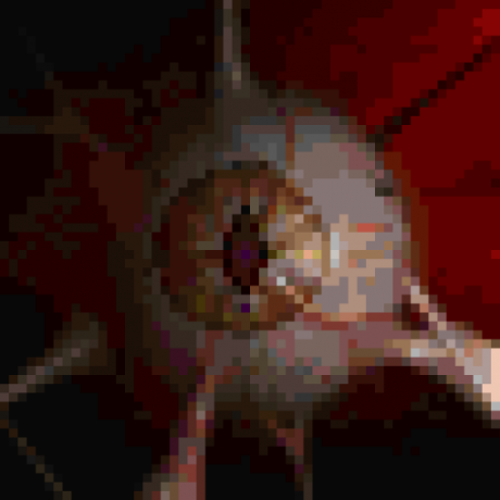 Image (Asset 2/15) alt=