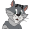 Image (Asset 1/9) alt=